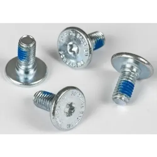 Hlavní obrázek - Montážní šrouby k bruslím Powerlide Torx 16mm (1ks)